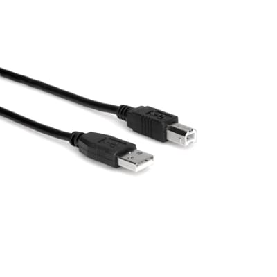Hosa High Speed USB Cable Type A to Type B - 5 ft. image 1