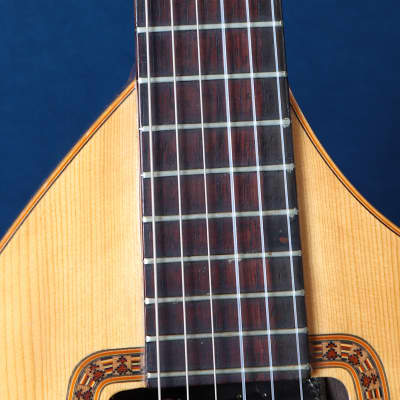 Giannini Craviola AWKNS6 / Nylon String and Bossa Ready! image 4