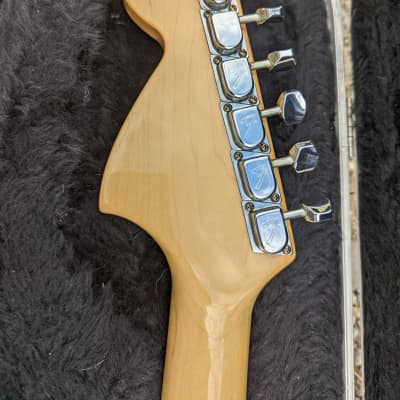 Fender Stratocaster with Maple Fretboard 1981 Black image 5