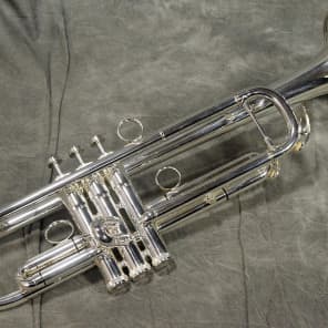 Brasspire Unicorn BPTR-750SS Bb Trumpet | Reverb