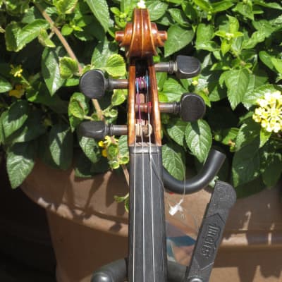 William Lewis and Son Ton-Klar Herman no. 165 4/4 | Reverb