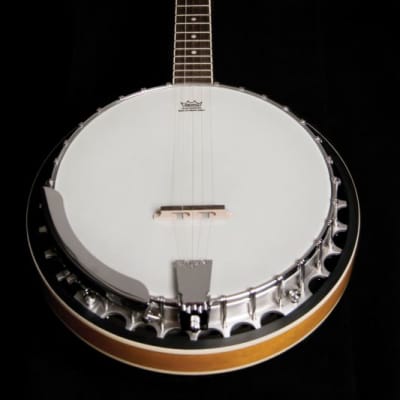 Washburn B9-WSH-A | Americana Series 5-String Banjo. New with Full Warranty! image 4