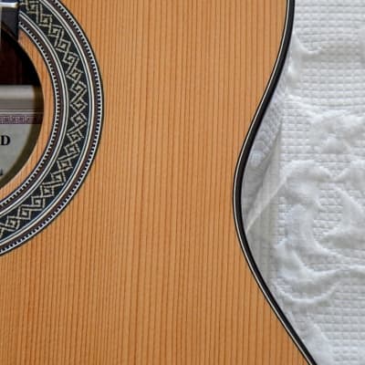 Kenny Hill Estudio 640 short scale cedar top classical guitar image 5