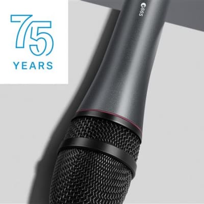 Sennheiser e865 Super-Cardioid Handheld Condenser Microphone image 5
