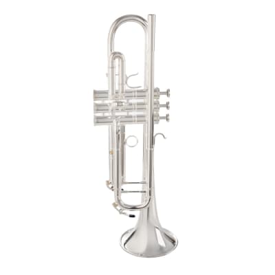 チャーリー デイビス 西海岸モデル 1s/9 トランペット Charley Davis