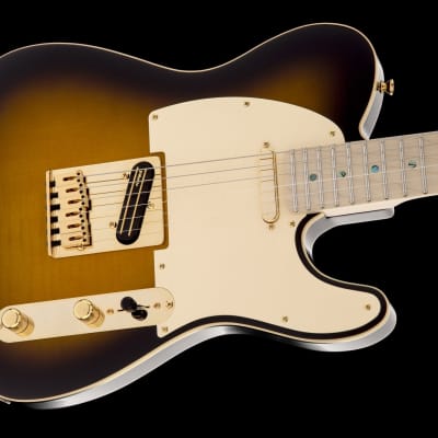 Fender Richie Kotzen Signature Telecaster | Reverb