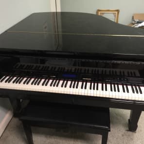 Roland KR 1070 2000s Black Reverb