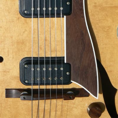 c. 1984 Fender  D'Aquisto Standard, Highly Figured 16" Birdseye Maple Body,  Twin Humbuckers, Showroom Condition! image 6