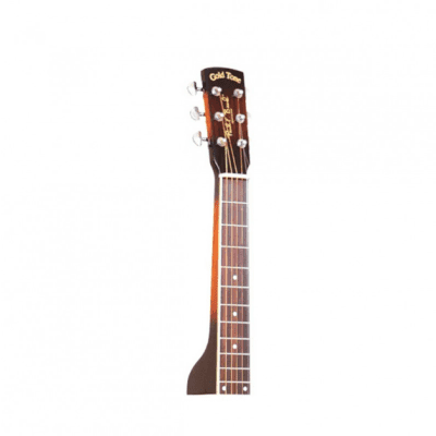 Gold Tone PBS: Paul Beard Signature-Series Squareneck Resonator Guitar w/ Case image 6