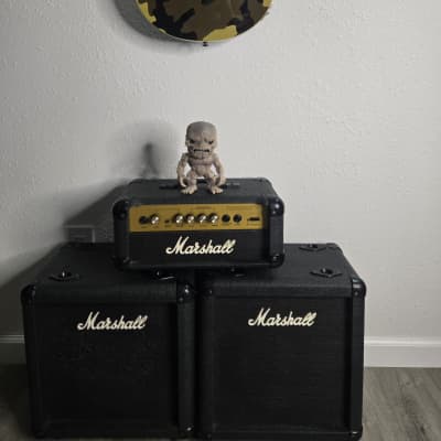 Marshall Valvestate VS15R Head Snakeskin | Reverb