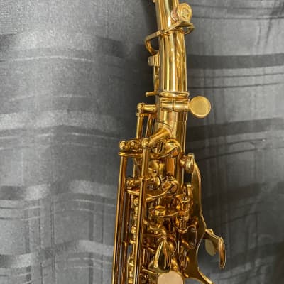 Ron Bass Soprano Sax Soprano Saxophone (Cherry Hill, NJ) image 5