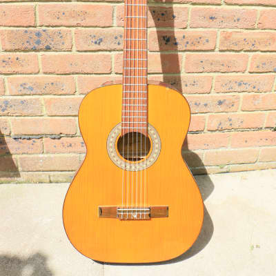 Acoustic Guitar Angelica 2851 Made In Japan 1970s *VIDEO* image 6