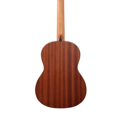 Cordoba Protege C1M Nylon String Guitar image 5