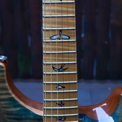 PRS Custom 22 Tremolo - Maple Fretboard - Unique PRS from 2018! image 7