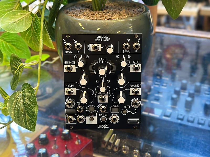 Make Noise Morphagene