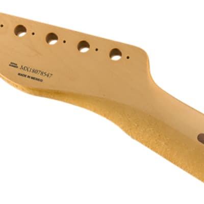 Genuine Fender 1951 Telecaster® Neck, Fat U Shape, Narrow Tall Frets, Maple image 2