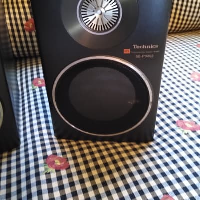 Vintage Technics SB-F1MK2 Honeycomb Disc Speaker System | Reverb