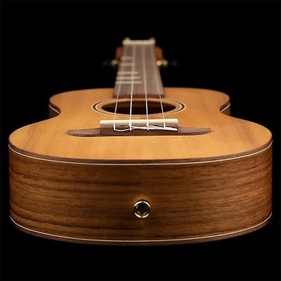 Ortega Guitars RUTI-TE Timber Series Tenor Ukulele image 4