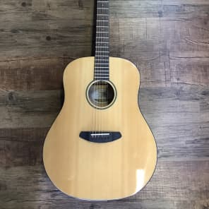 Breedlove discovery dreadnought top