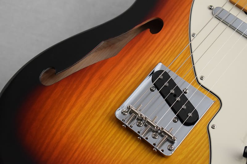 Vanzandt [Made in JAPAN] Custom Order TLV-Thinline | Reverb