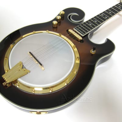 Gold Tone 5-String Electric Banjo image 2