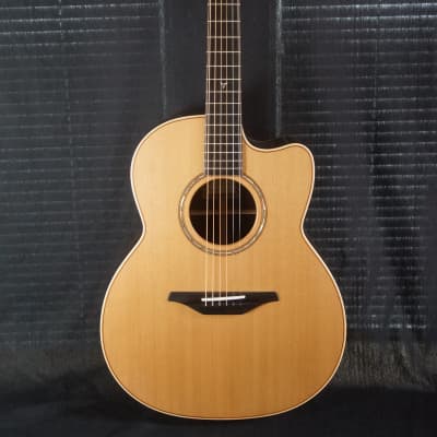 Brand New McIlroy A35c Western Red Cedar / Indian Rosewood Cutaway Auditorium Sized Acoustic image 7
