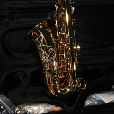 Eastman EAS650 Professional Alto Saxophone - Brass image 6