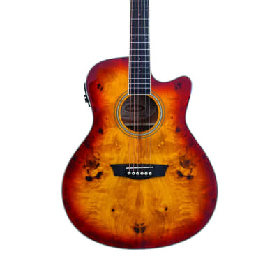 Washburn Deep Forest Burl ACE | Reverb