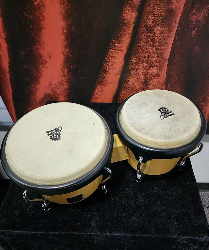 LP Aspire Bongos (San Antonio, TX) | Reverb