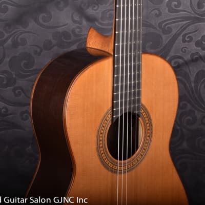 Daniel Stark "Espagnola II" classical guitar  Cedar/Wenge B & Sides image 5