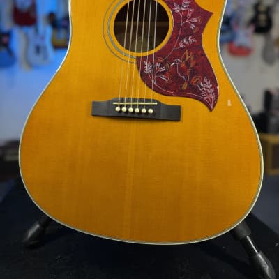 Tokai Hummingbird 180F Folk Guitar Japan Acoustic | Reverb
