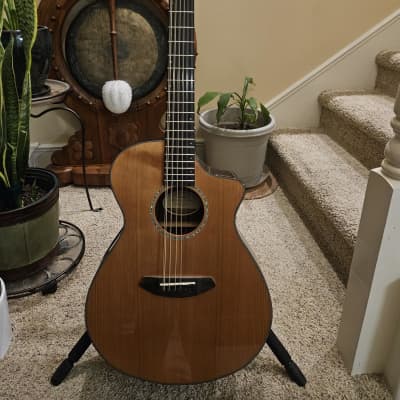 BREEDLOVE CONCERT SOLO CE 12 STRING ACOUSTIC 2019 - NATURAL WITH CUSTOM CASE image 1