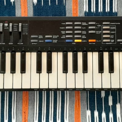 Realistic Concertmate 500 1980s / Casio SK 1 clone