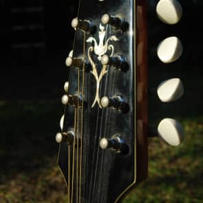Vintage Sigma Martin SM-30 MIJ 2 Point Double cutaway Mandolin Made in Japan Stunning image 12