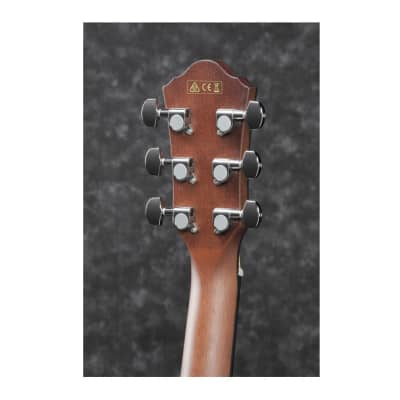 Ibanez AEG50 Acoustic-Electric Guitar (Right Hand, Dark Honey Burst) image 8