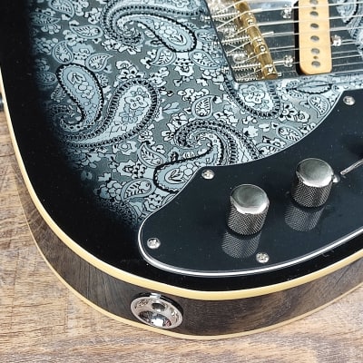 MyDream Partcaster Custom Built - Black Paisley Thinline Dreamsongs Freeway image 6