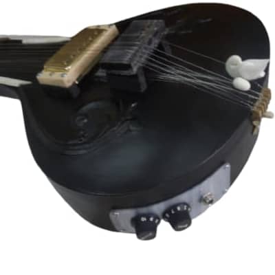 Matte Black Humbucker Pickup Indian Acoustic Electric Fusion Sitar Guitar. Niladri Kumar Style. Cedar image 2