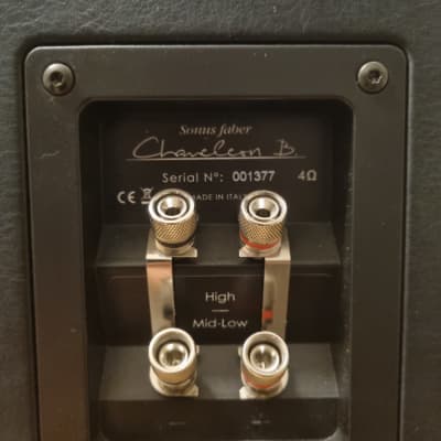 SONUS FABER Chameleon B 2015 - Black image 5