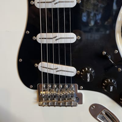 Fender Stratocaster Partscaster Build w/ Hard Shell Case image 4