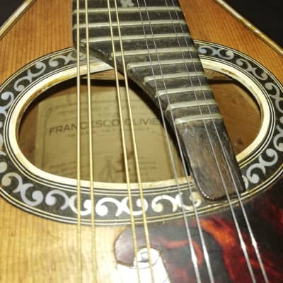 Francesco Olivieri Mandolino image 12