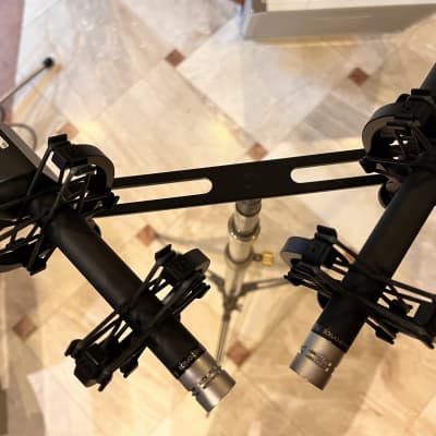 sE Electronics RN17 Matched Pair With Full 10 | Reverb Canada