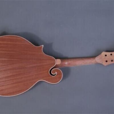 DIY-MAKE YOUR OWN KENTUCKY STYLE F HOLE 8 STRING CARVED TOP ACOUSTIC MANDOLIN image 6