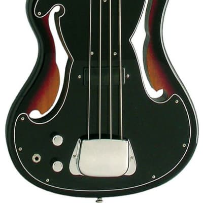 Eastwood MRG Series EUB-1 LH Mahogany Body Maple Neck 4-String Fretless Bass Guitar For Left Handed image 4