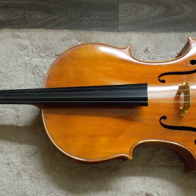 Eastman VC100 4/4 Cello 2008-Amber image 2