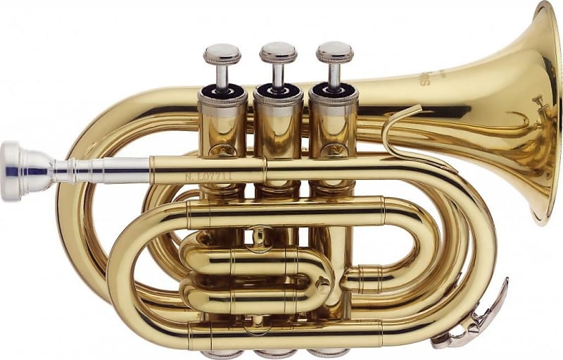 Stagg WS - TR245 Bb Pocket Trumpet with Case image 1