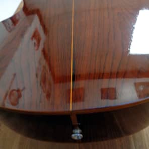 Giannini AWKS-12 12 String Acoustic guitar w/ OHSC image 11