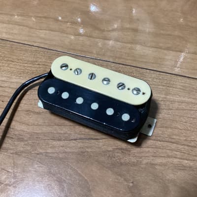 Seymour Duncan Pearly Gates PGBJ 1980's Zebra Maricela