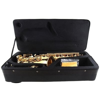 Levante LV-AS4105 Professional Eb Alto Saxophone High F# - with Soft Case image 4