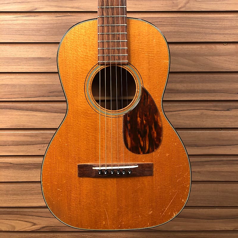 Pleasure guitar price discount