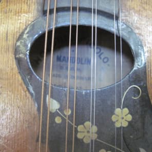 German picolo mandolin image 2